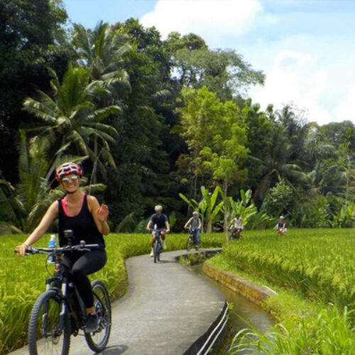 Bali-Cycling-Tour