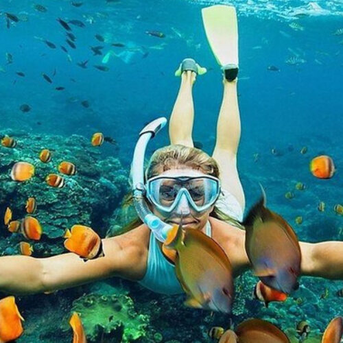 Snorkling-Blue-Lagoon